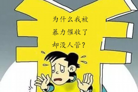 伊犁伊犁的要账公司在催收过程中的策略和技巧有哪些？